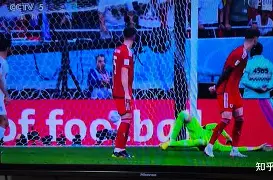 比赛胜利！球员们的激情与毅力感染全场观众