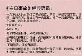 惊掠风云！球场上一幕接一幕，引人入胜的简单介绍